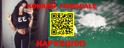 стафф Краснознаменск