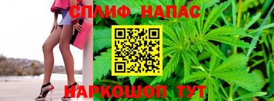 СК Краснодар