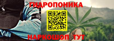 стафф Краснознаменск