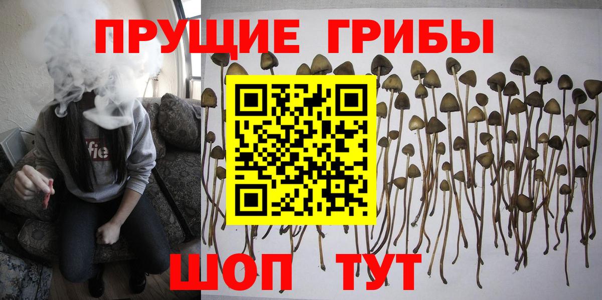 Лангепас  Псилоцибиновые грибы прущие грибы  Вход с VPN 